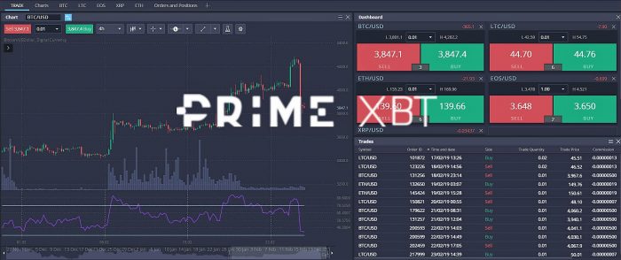 Экспертный обзор биржи Prime XBT